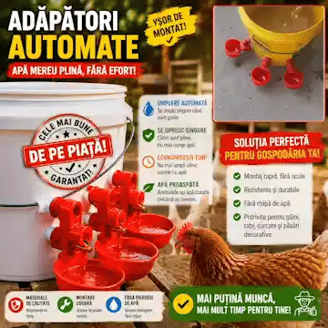 Adăpători Automate ApăCurată