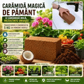 Cărămidă Magică de Pământ CocoGrow 🌱